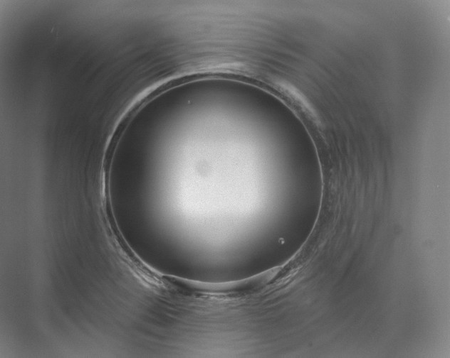 X0000073481324200608140806