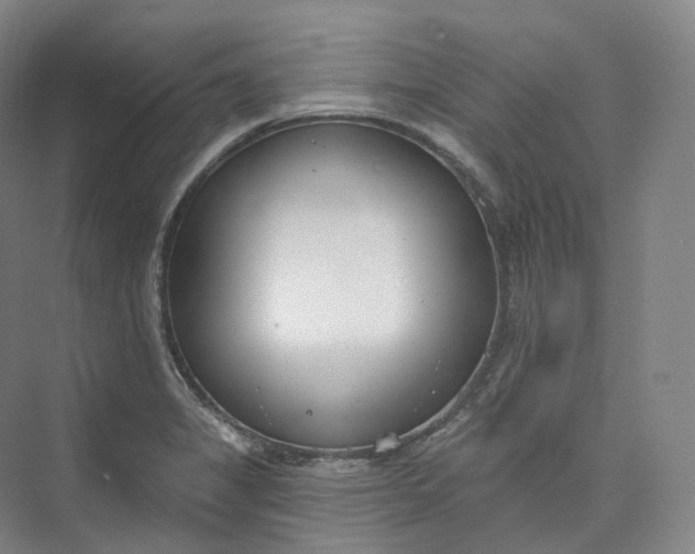 X0000073481325200608140806