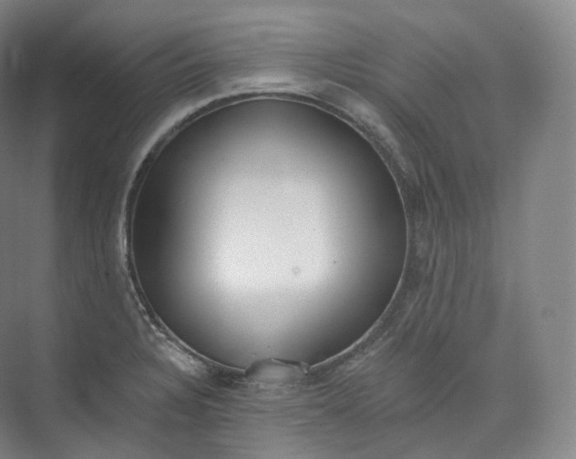 X0000073481328200608140806