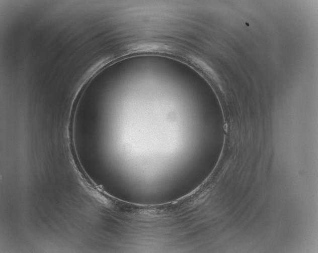 X0000073481330200608140806