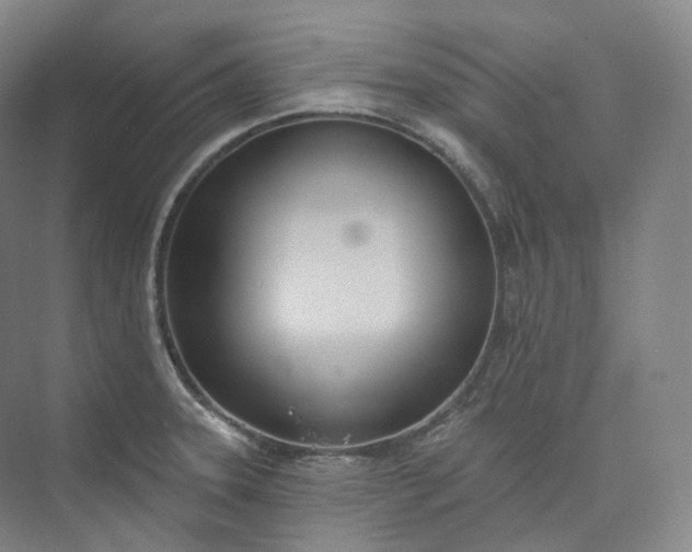 X0000073481331200608140806