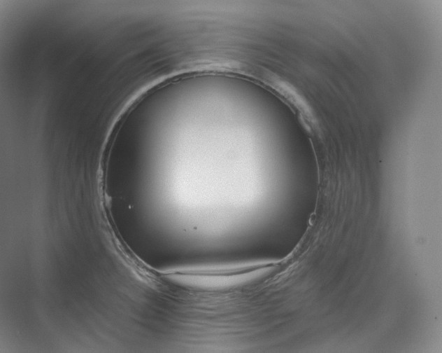 X0000073481332200608140806