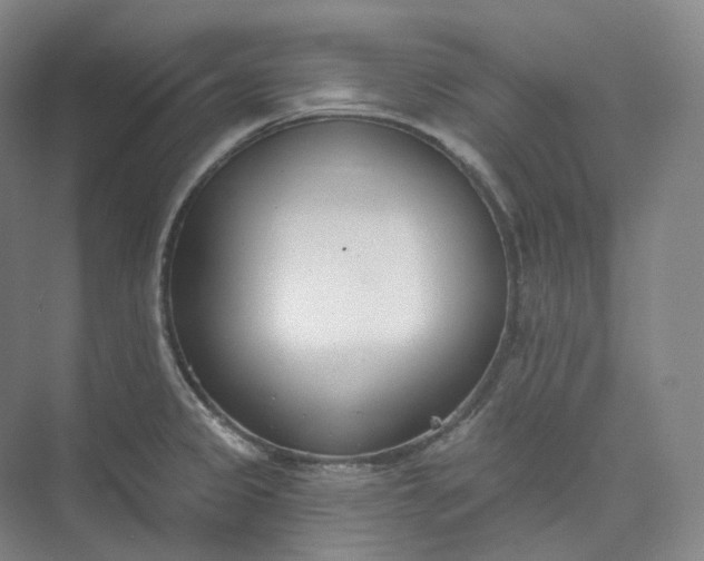 X0000073481333200608140806