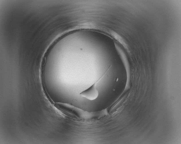 X0000073481334200608140806