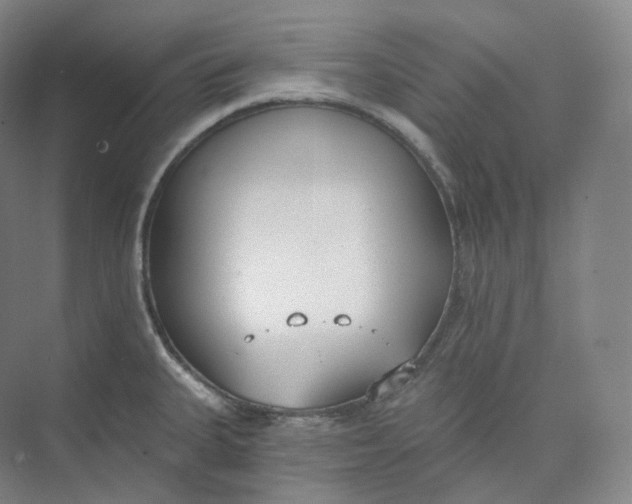 X0000073481335200608140806