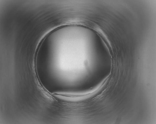 X0000073481336200608140806