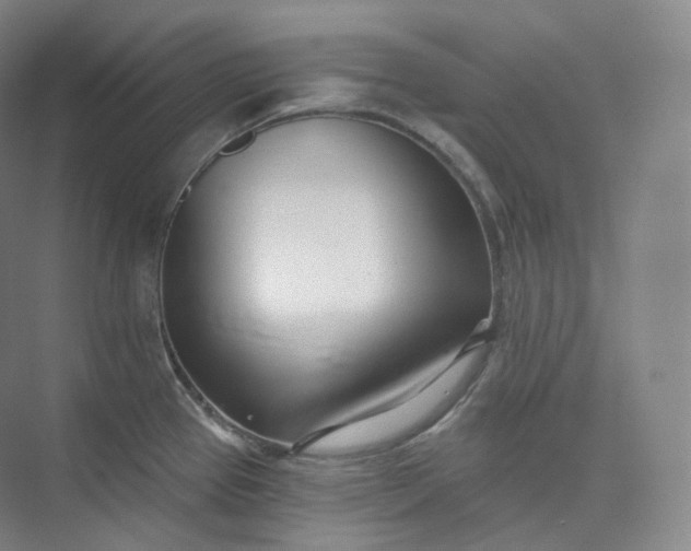 X0000073481337200608140806