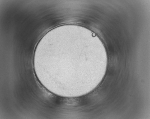 X0000073481338200608140806