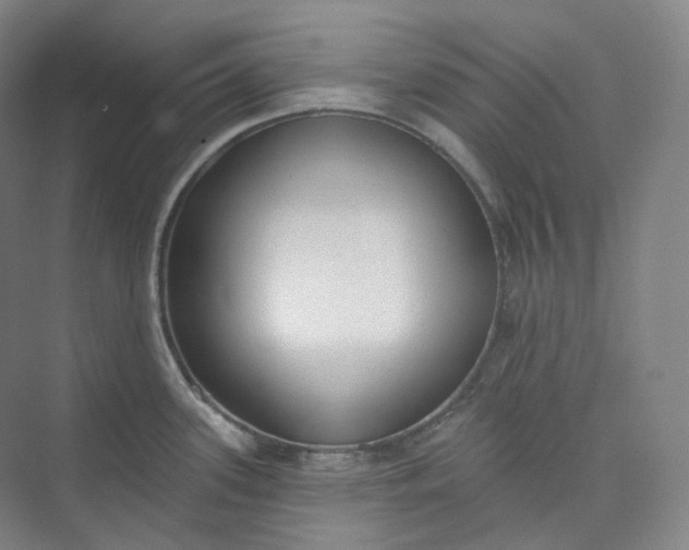 X0000073481339200608140806