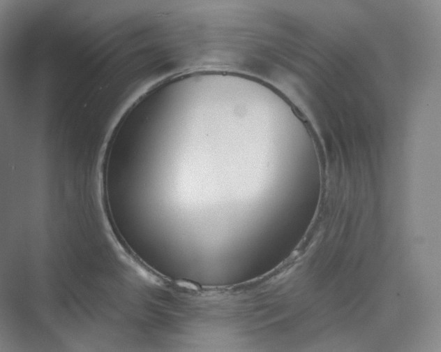 X0000073481341200608140806