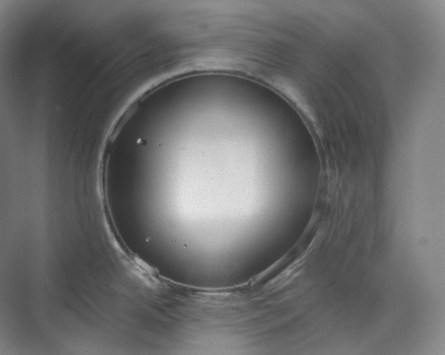 X0000073481342200608140806