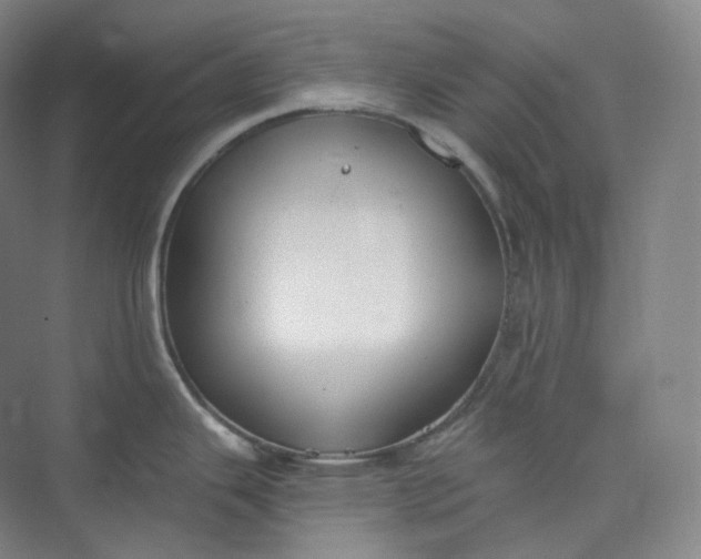 X0000073481343200608140806