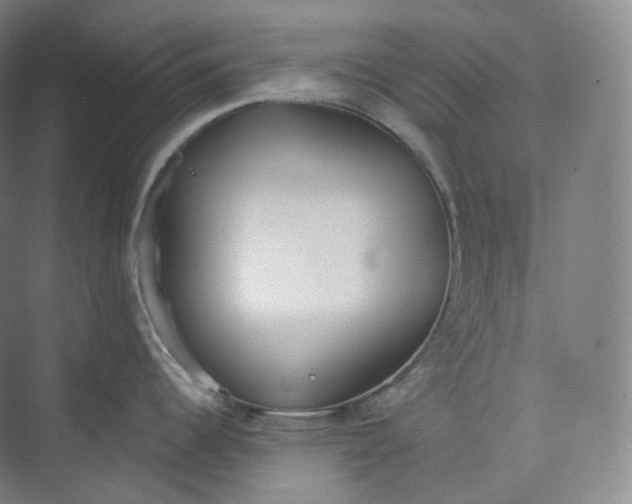 X0000073481344200608140806