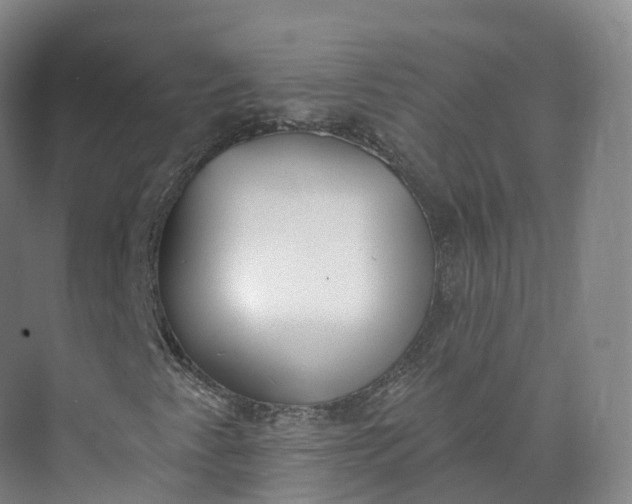 X0000073481345200608140805