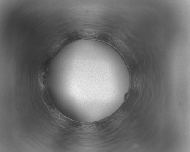 X0000073481346200608140805