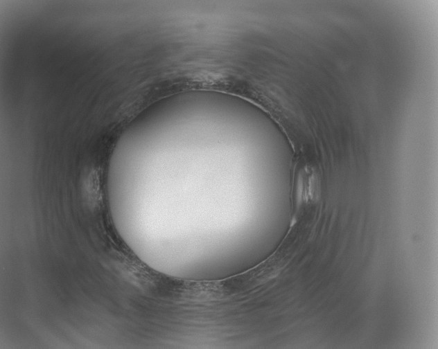 X0000073481347200608140805