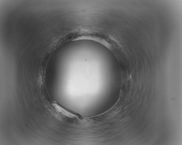 X0000073481348200608140805