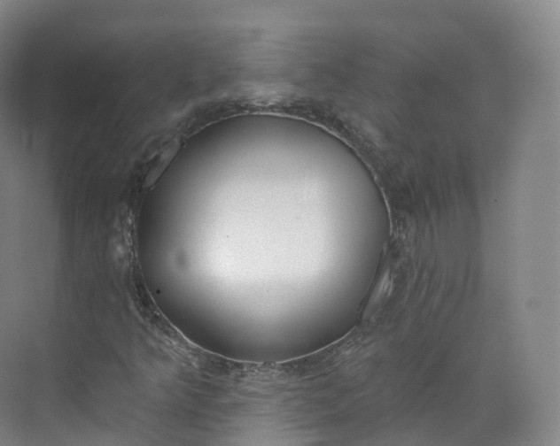 X0000073481349200608140805