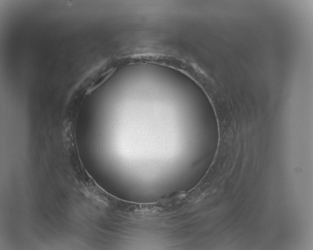 X0000073481351200608140805