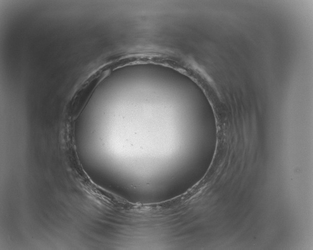 X0000073481352200608140805