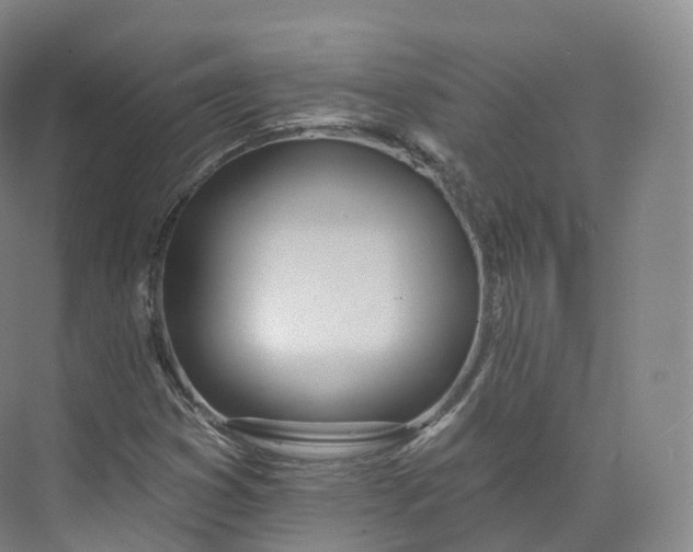 X0000073481353200608140805