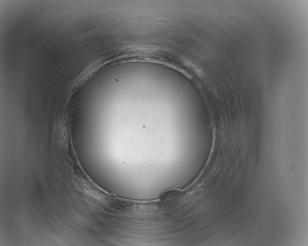 X0000073481354200608140805