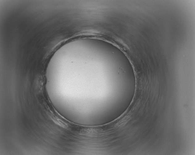 X0000073481355200608140805