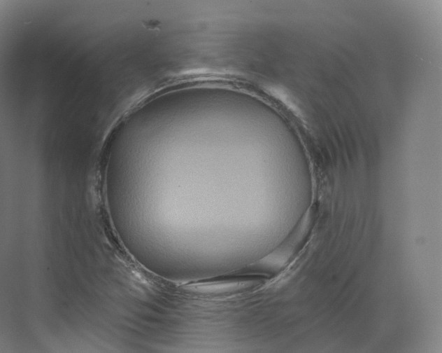 X0000073481357200608140805