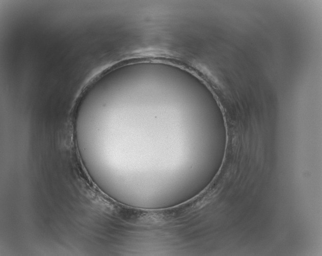 X0000073481358200608140805