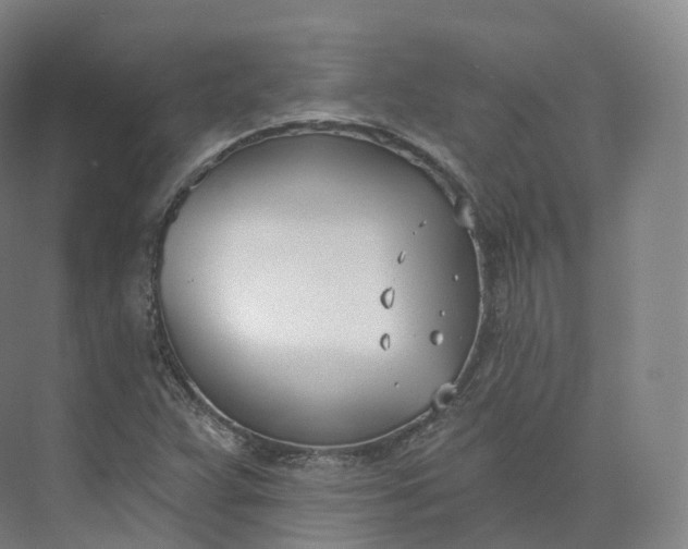 X0000073481359200608140805