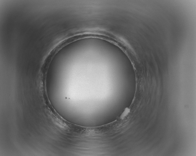 X0000073481360200608140805