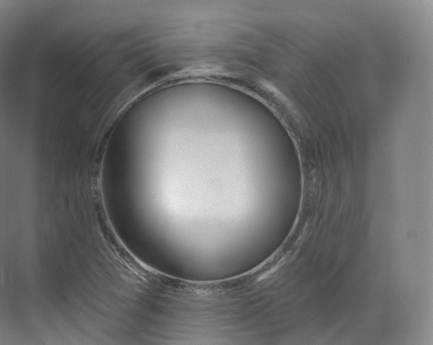 X0000073481361200608140805