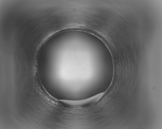 X0000073481363200608140805