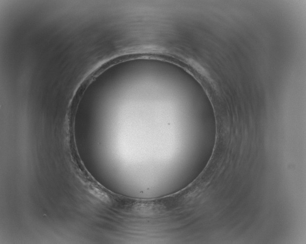 X0000073481364200608140805