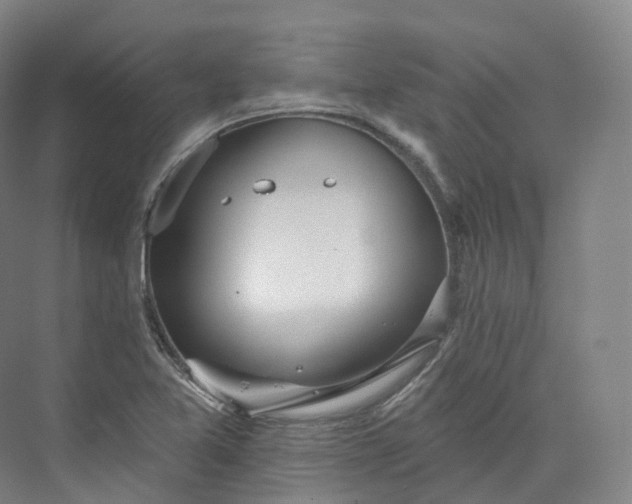 X0000073481365200608140805