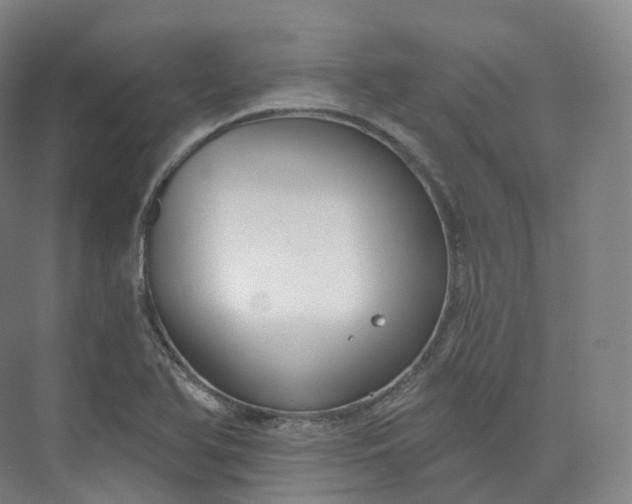 X0000073481366200608140805