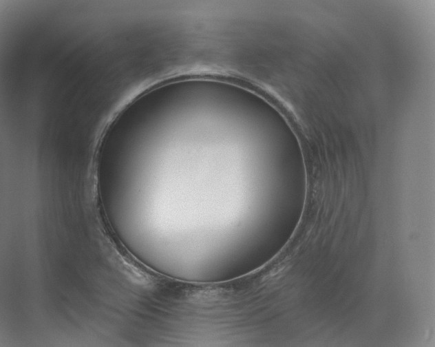 X0000073481367200608140805