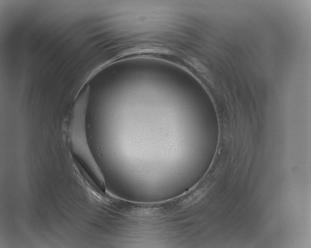 X0000073481369200608140805