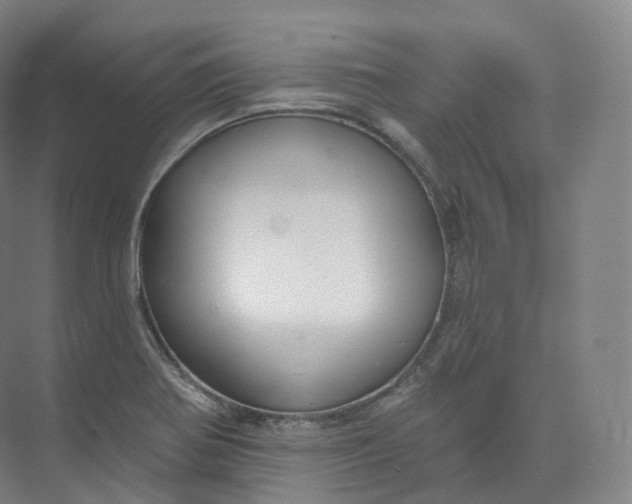 X0000073481370200608140805