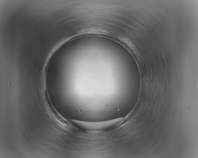 X0000073481371200608140805