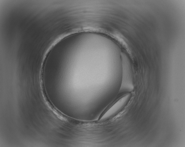 X0000073481373200608140805