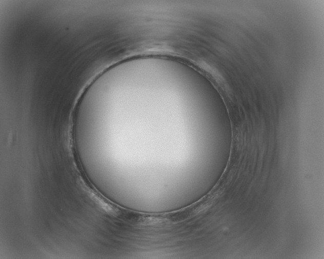 X0000073481374200608140805