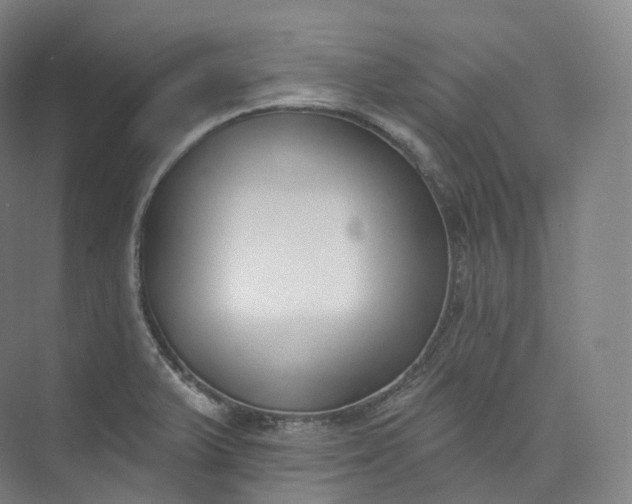 X0000073481375200608140805