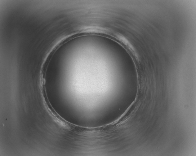 X0000073481376200608140805