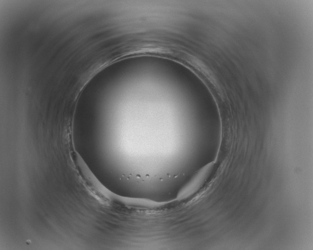 X0000073481377200608140805