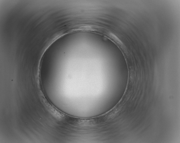 X0000073481378200608140805