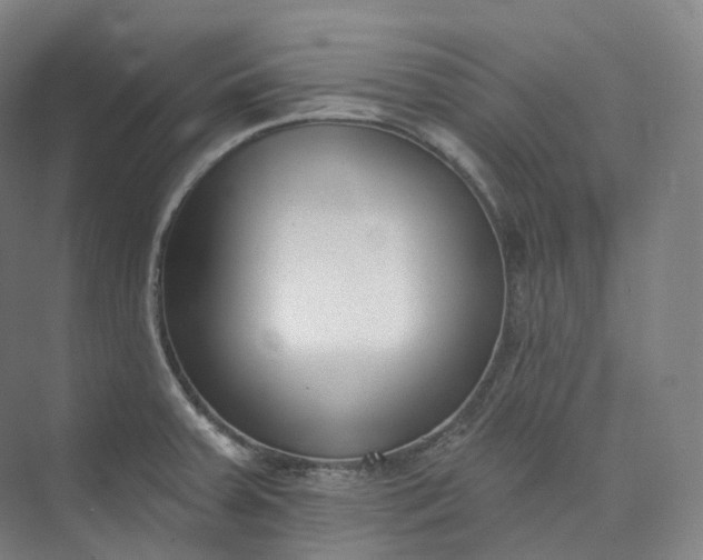 X0000073481379200608140805