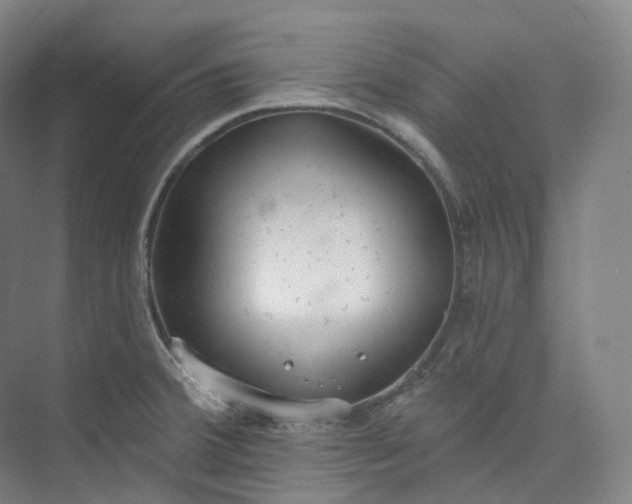 X0000073481380200608140805