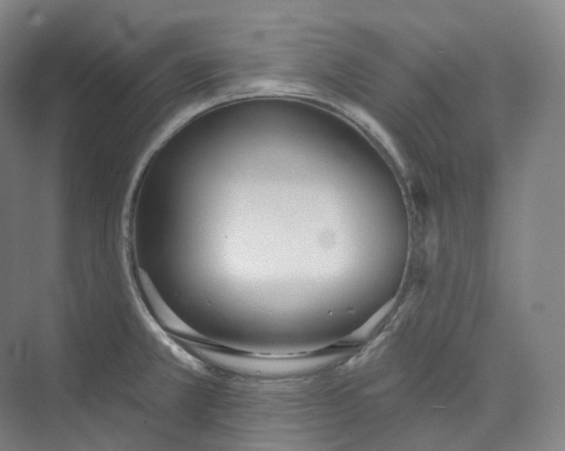 X0000073481381200608140805