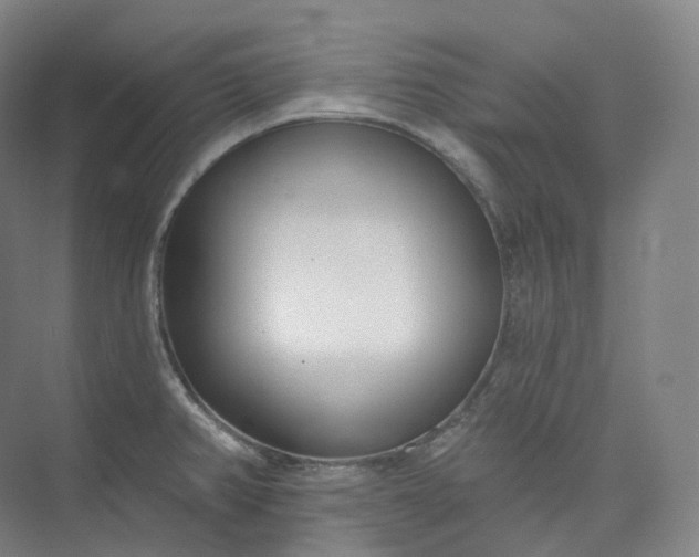 X0000073481382200608140805